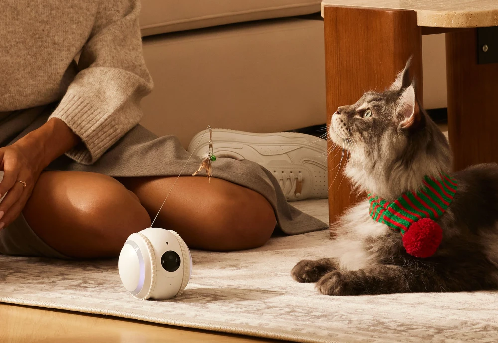 best pet indoor camera