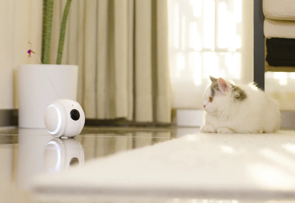 video camera for pets