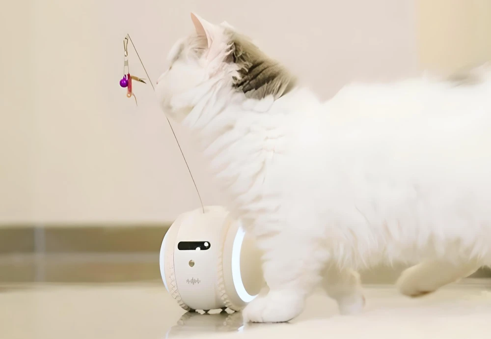 best pet watching camera