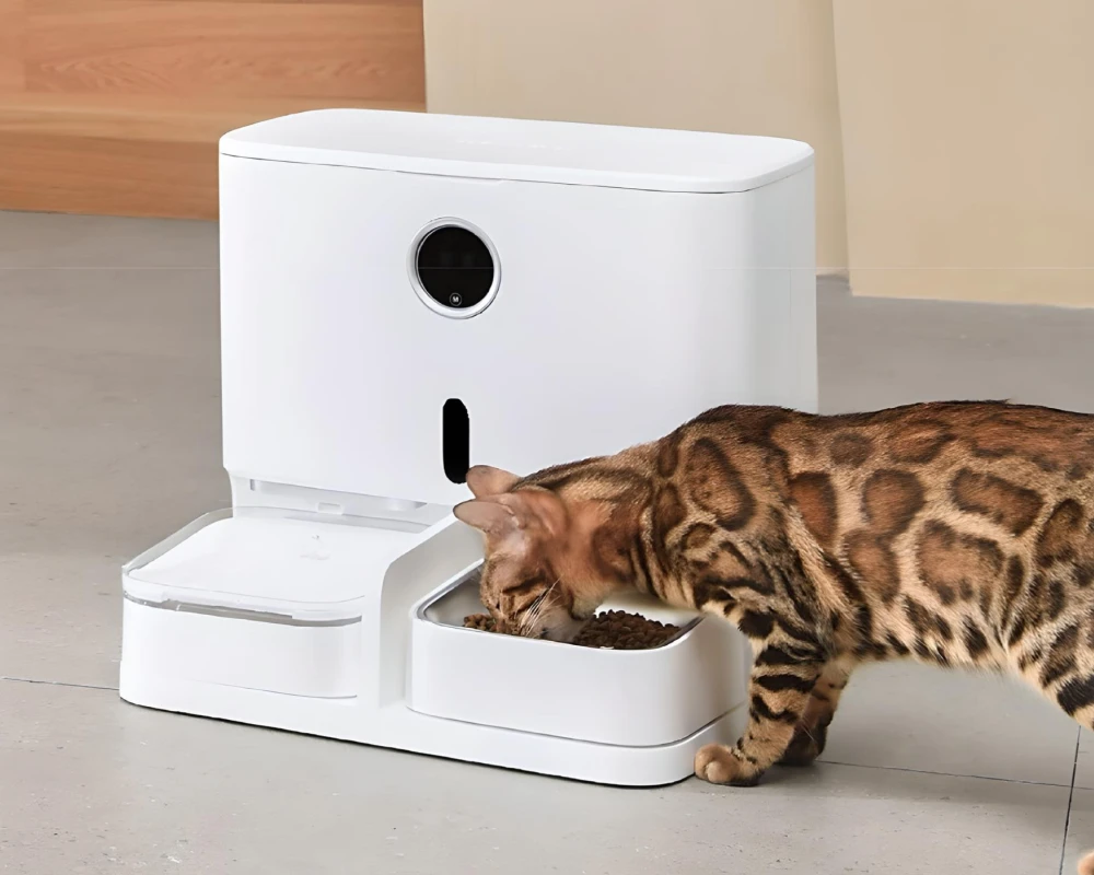 cat feeder with camera