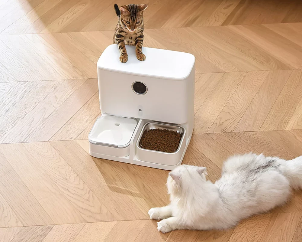 automatic dog feeder and water dispenser