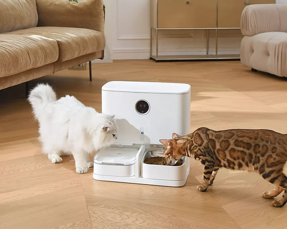 best automatic pet feeder for cats