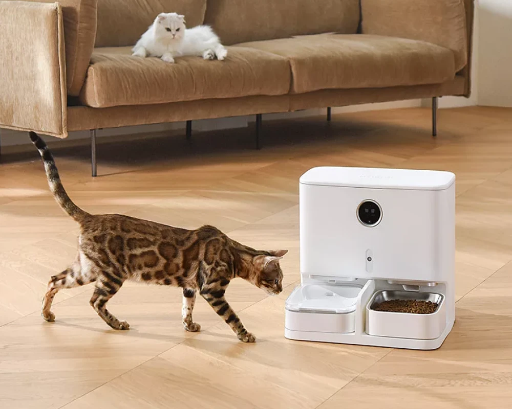 smart automatic pet feeder