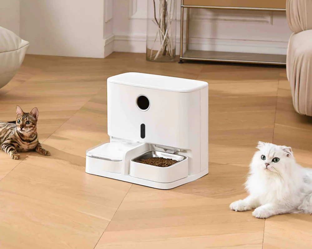 automatic pet feeder and waterer