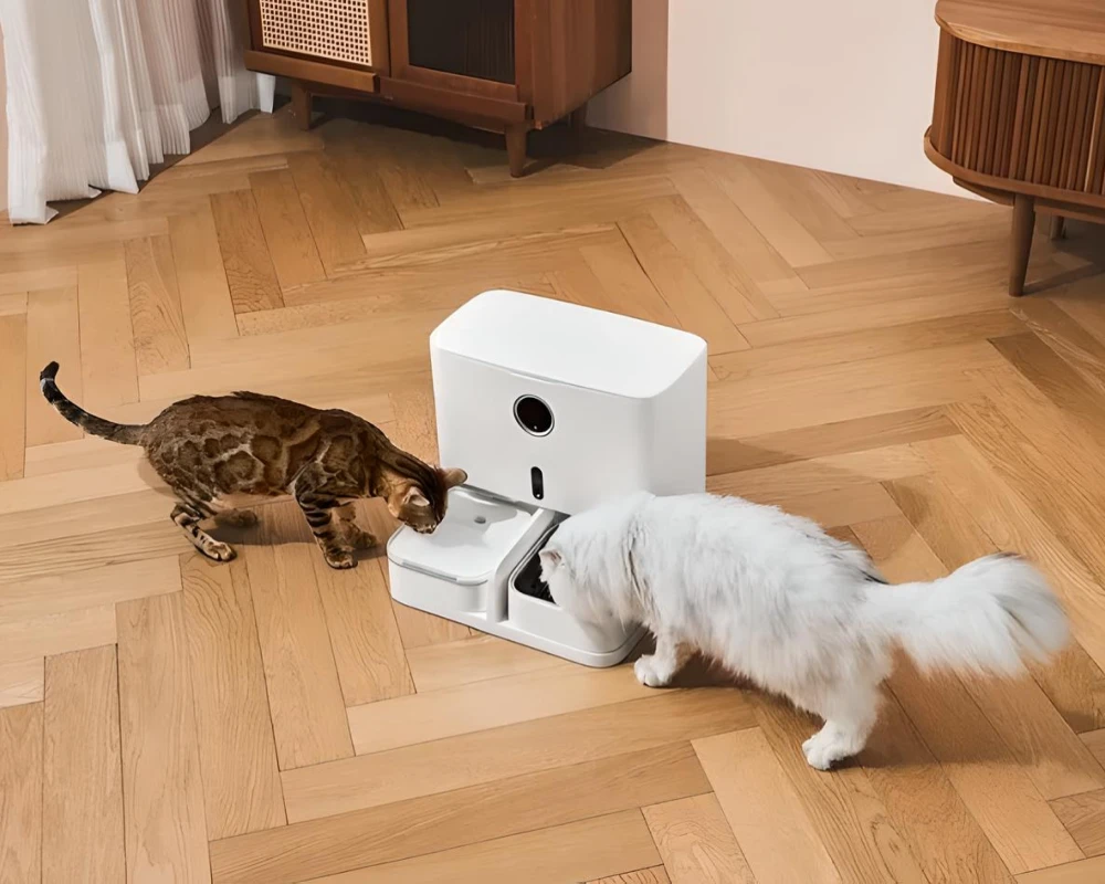 automatic dog feeder station